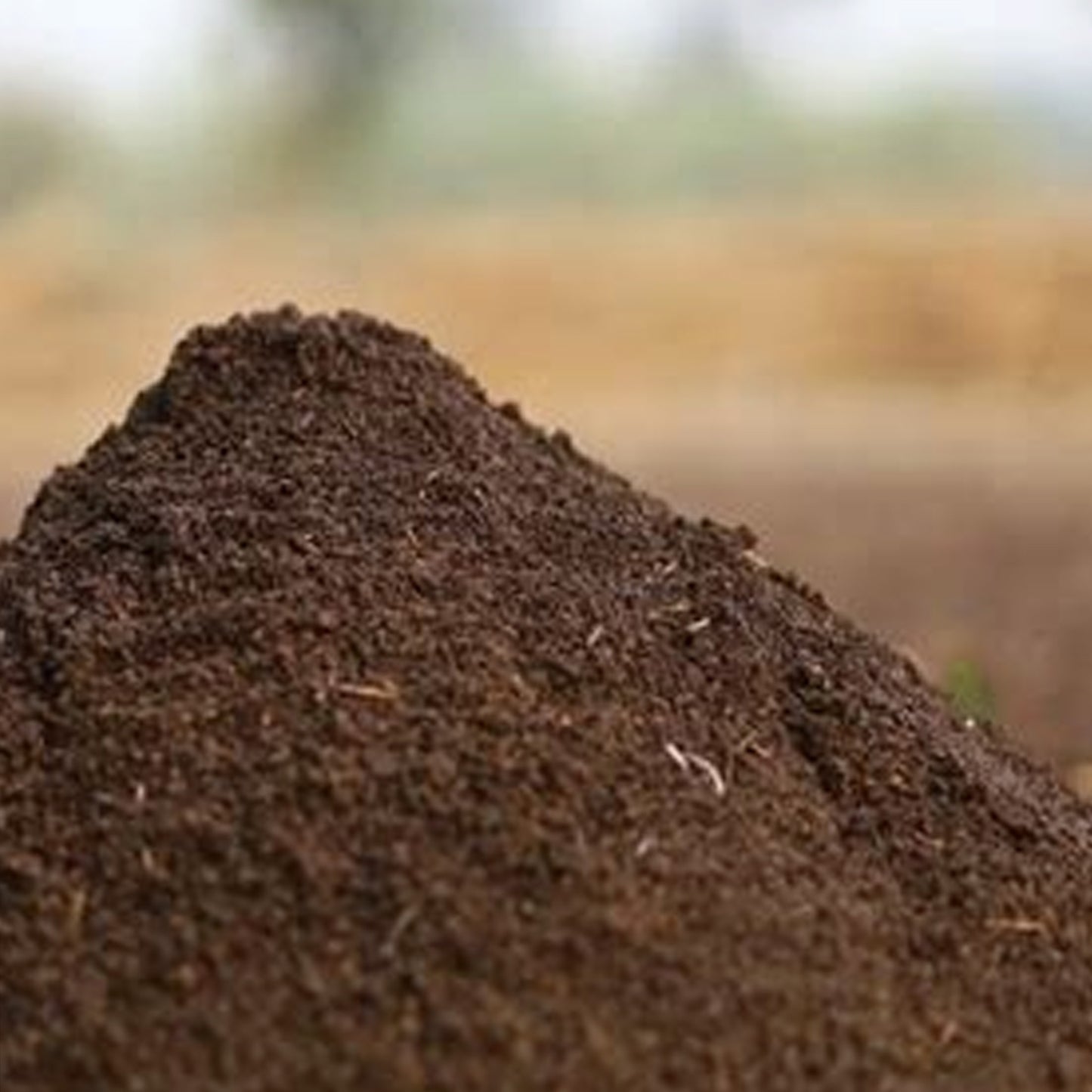 WORM CASTING VERMICOMPOST 2 .1 LBS