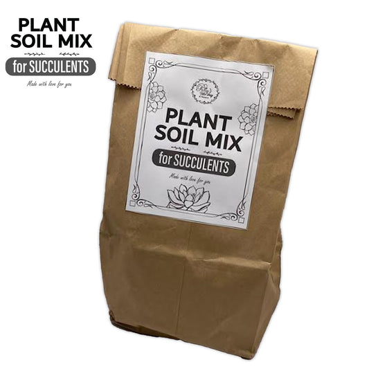 PLANT SOIL MIX SUCCULENTS